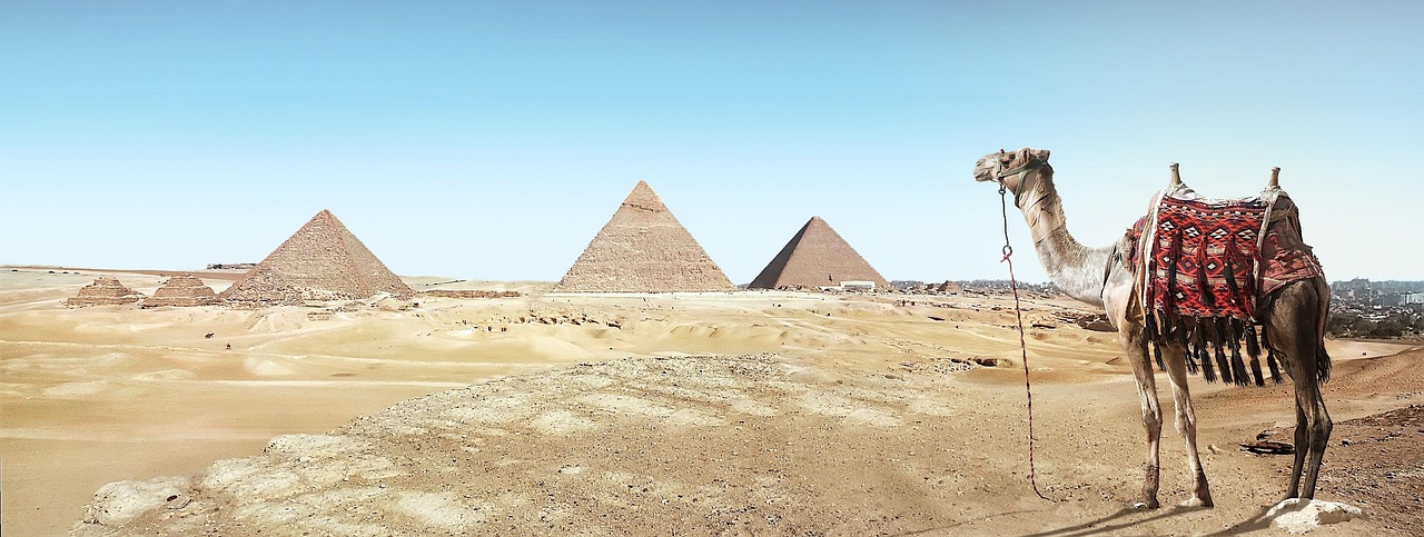 desert, camel, sand, pyramid, dry, travel, pharaohs, landscape, hot, archaeology, nature, tourism, warmth, heat, sahara, giza, vacations