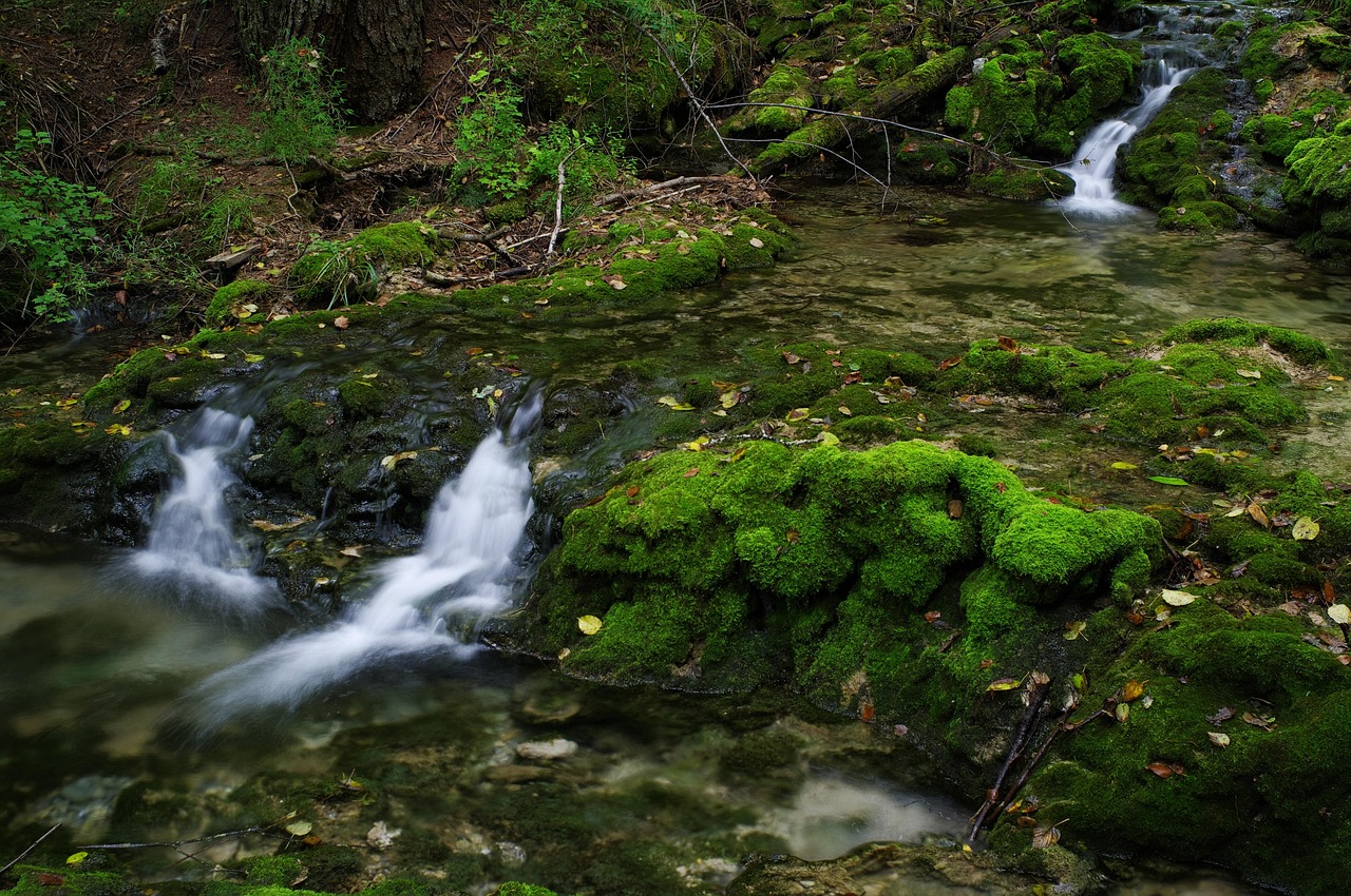 mountain spring, green, scenic spot, environment, mountain springs