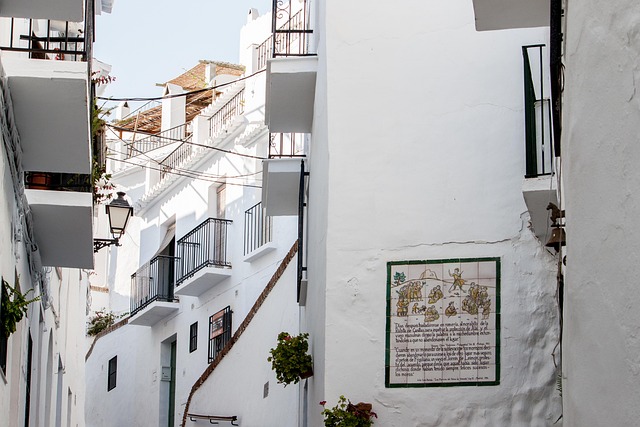 Image for Portuguese Language Basics: Phrases for Travelers in Lisbon