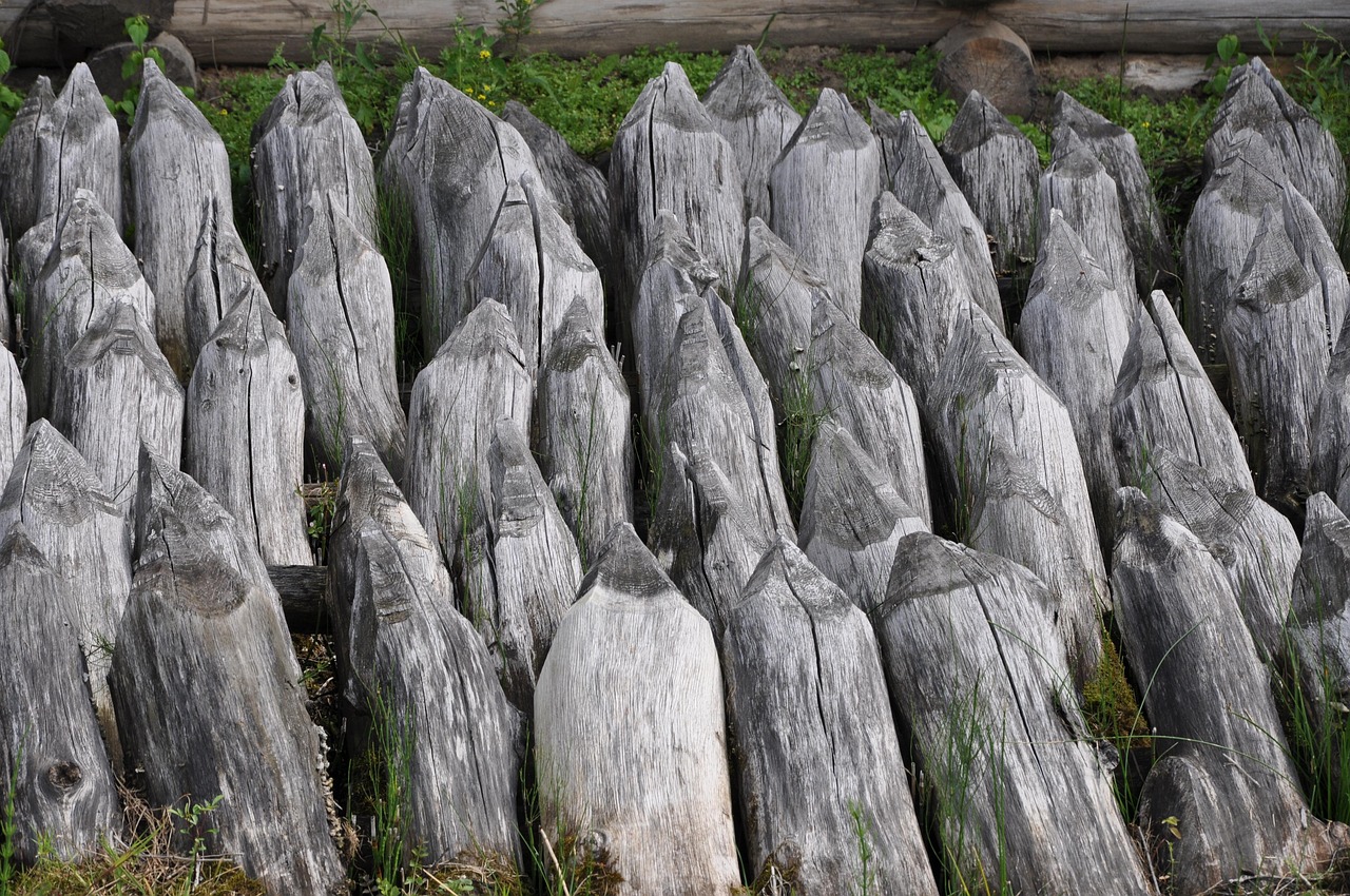 wood, poles, monument, castle, history, defense, biskupin, poland