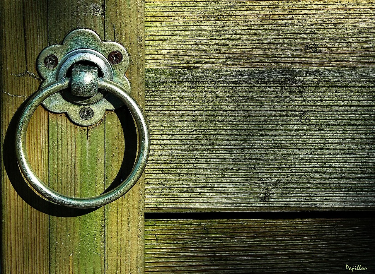 door, front door, house entrance, entrance, gate, wood, template, metal fitting, frame, door handle, ring, metal, antique, handle, glittering, rosette, stainless steel, grain, wood grain, close, entry, garden door, wooden door, locked, detail shot, close up
