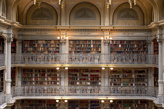Gallery image 5