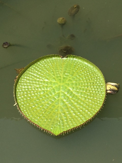 Gallery image 2