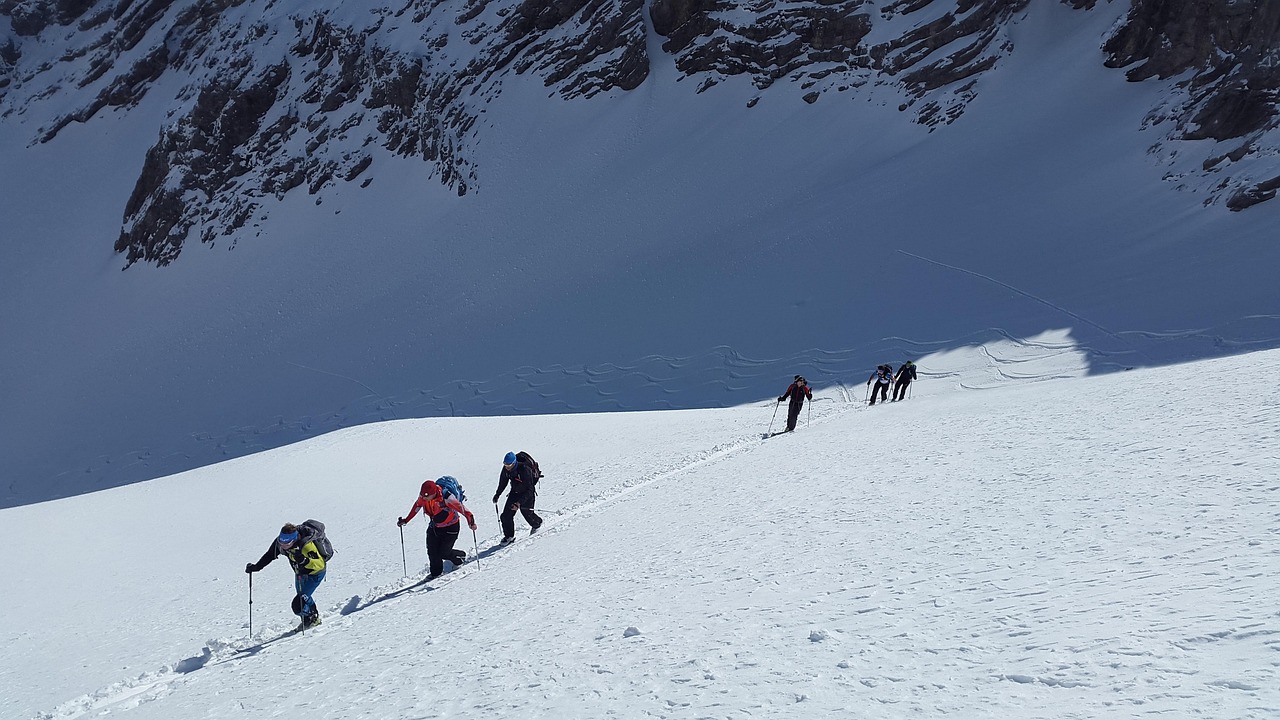 ski mountaineering, backcountry skiiing, winter sports, winter, snow, sports, ski, alps, to ski, ski touring, skiing, outdoor, alpine, winter landscape, touring skis, ski tourers, adventure, nature
