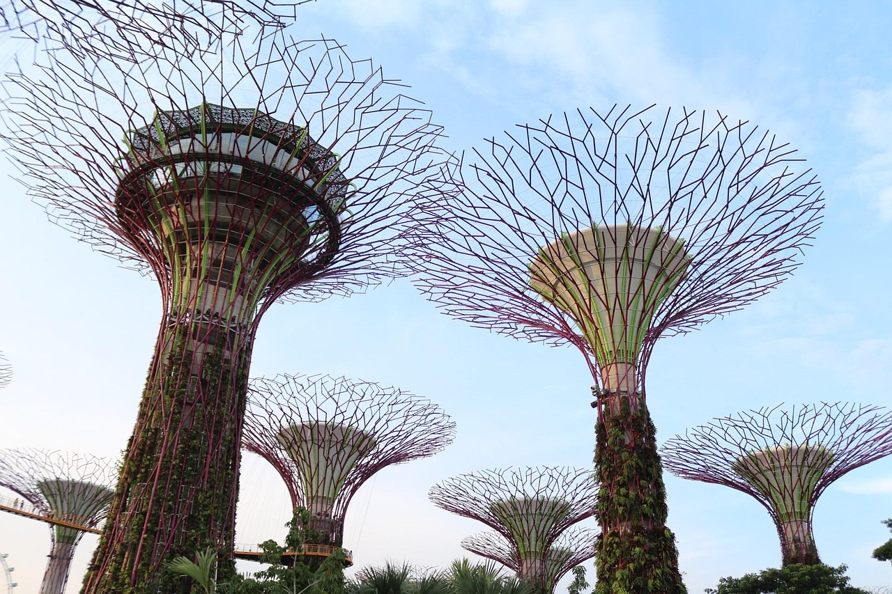 supertrees, trees, structure, nature, colorful, sculpture, monument, statue, creative, artwork, design, metal work, creativity, metal, metallic, construction, art, blue creative, blue metal