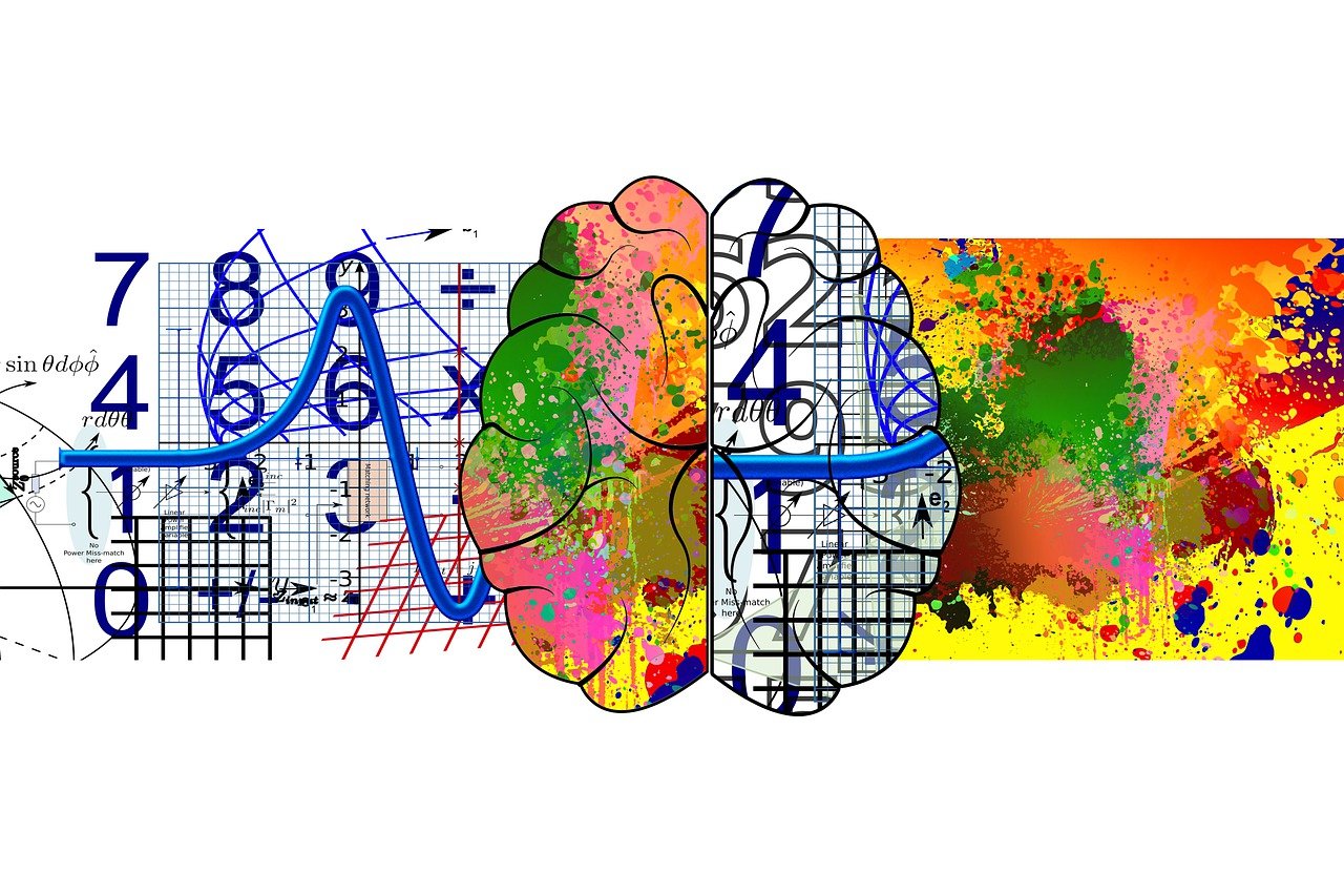 brain, cerebrum, biology, abstract, science, anatomy, grey matter, left hemisphere, right hemisphere, hemisphere, mathematics, pay, rational, art, creativity