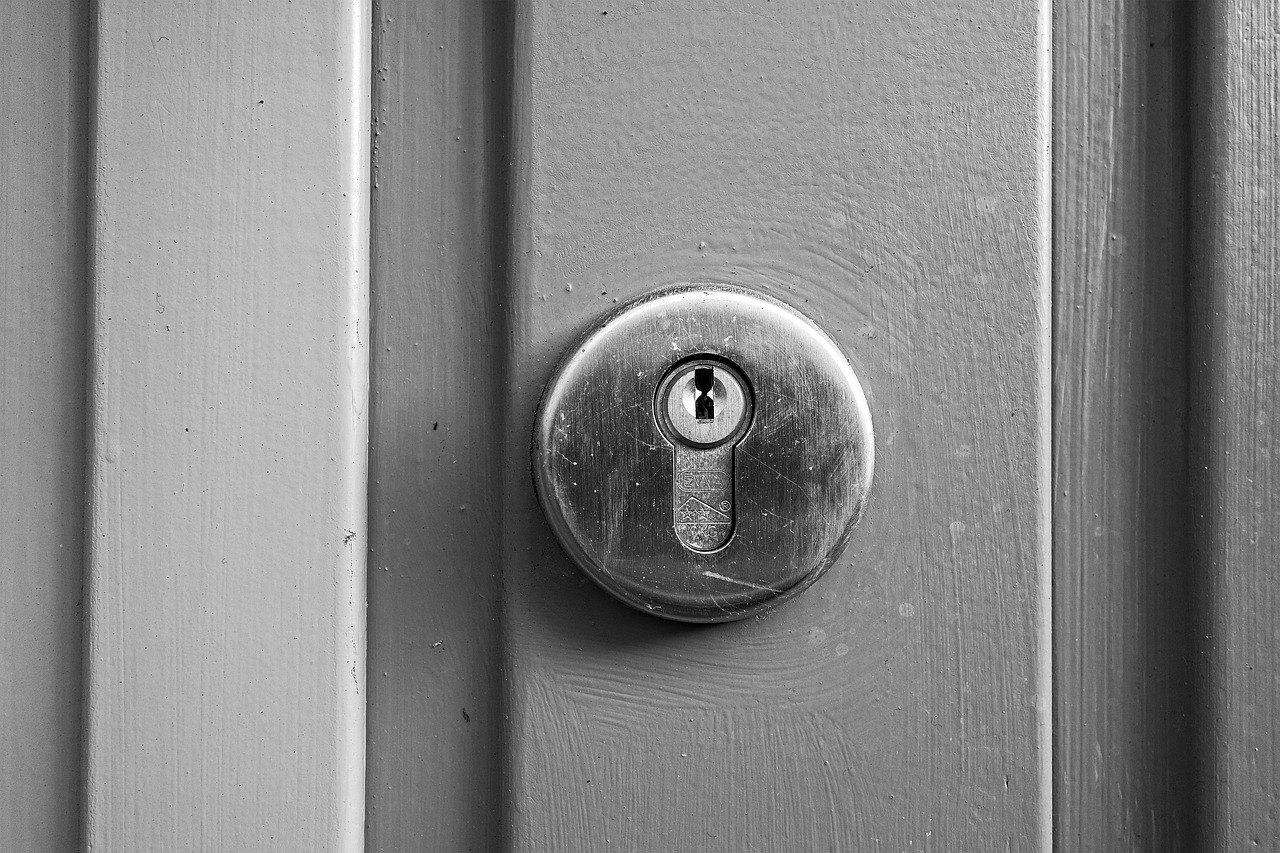 lock, pin tumbler lock, yale lock, cylinder lock, keyhole, door, access, security, safety, metal, gray security, gray door, gray safety, gray metal