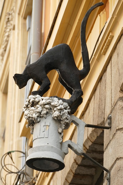 Gallery image 1