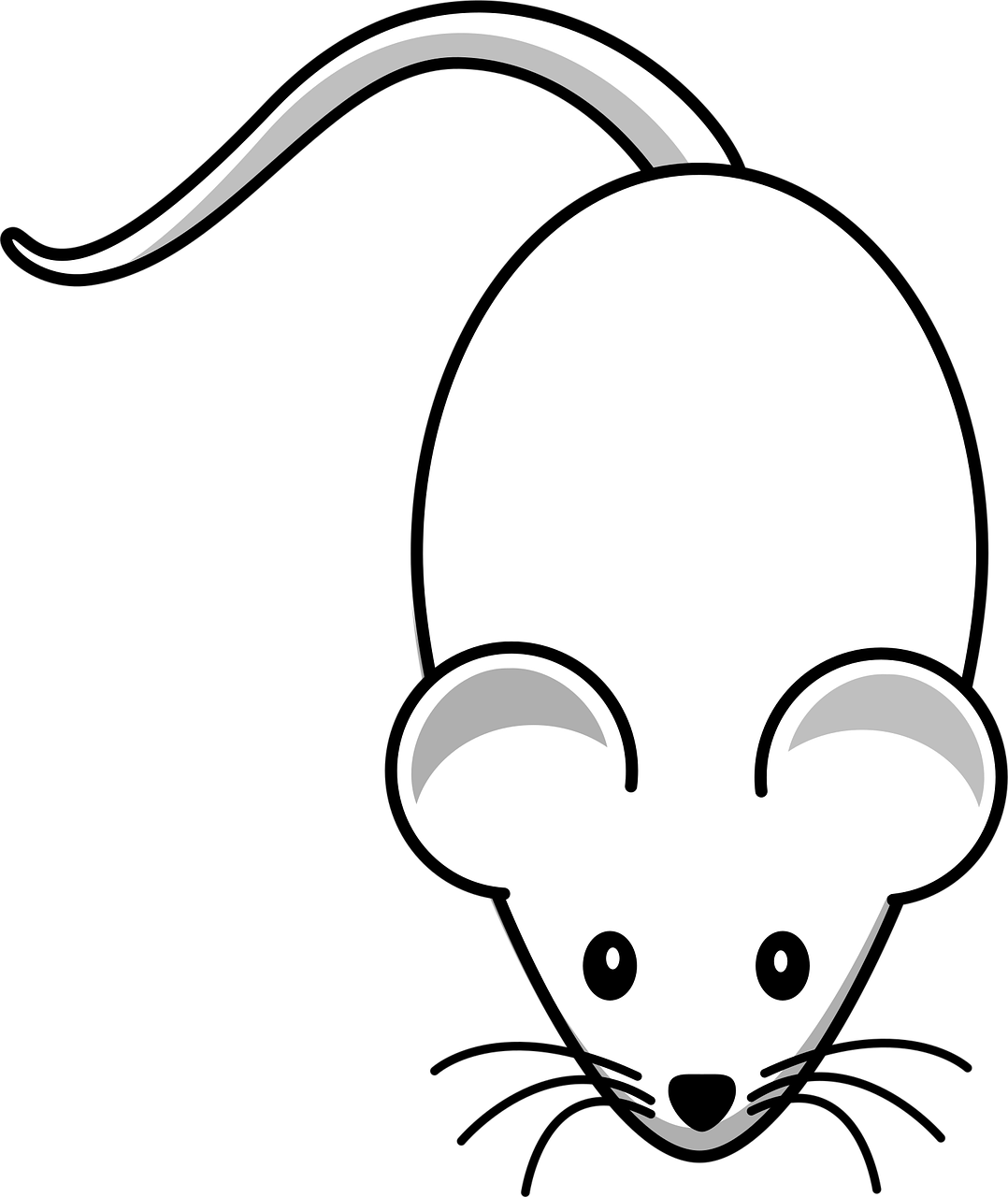 mouse, rodent, animal, mammal, rat, tail, funny, cartoon, pest, domestic, whisker, vertebrate, mascot, white