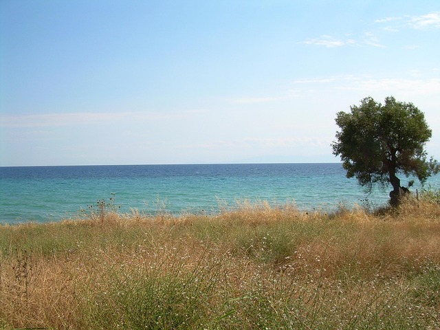 Gallery image 8