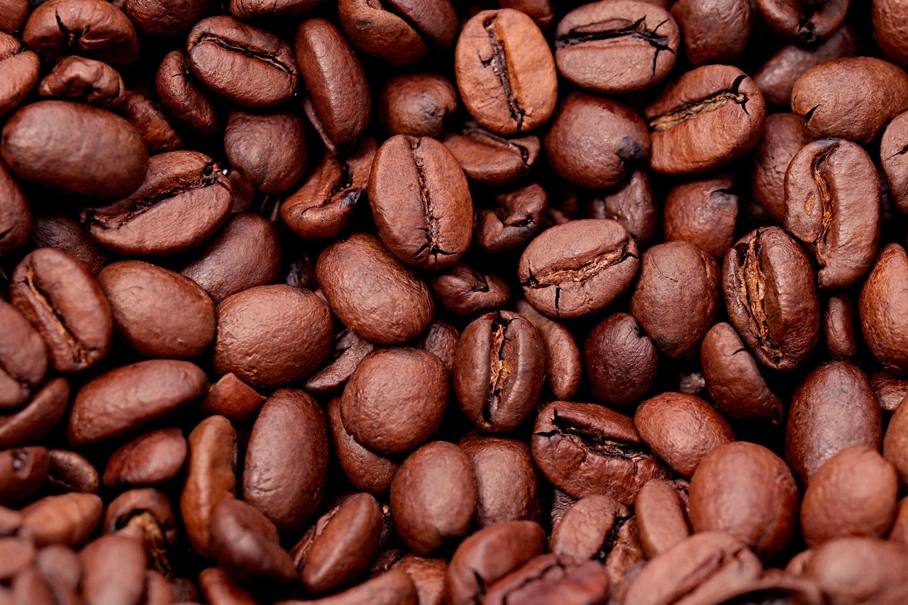 coffee, coffee beans, harvest, mocha, taste, caffeine