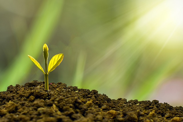 Image for Sustainable Finance