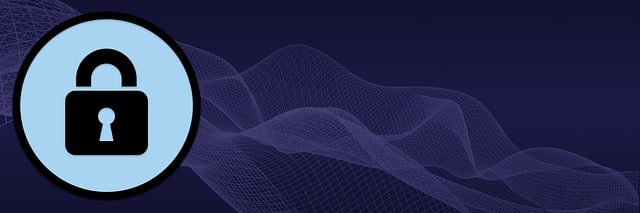 Image for Ensuring GDPR Compliance and Data Security