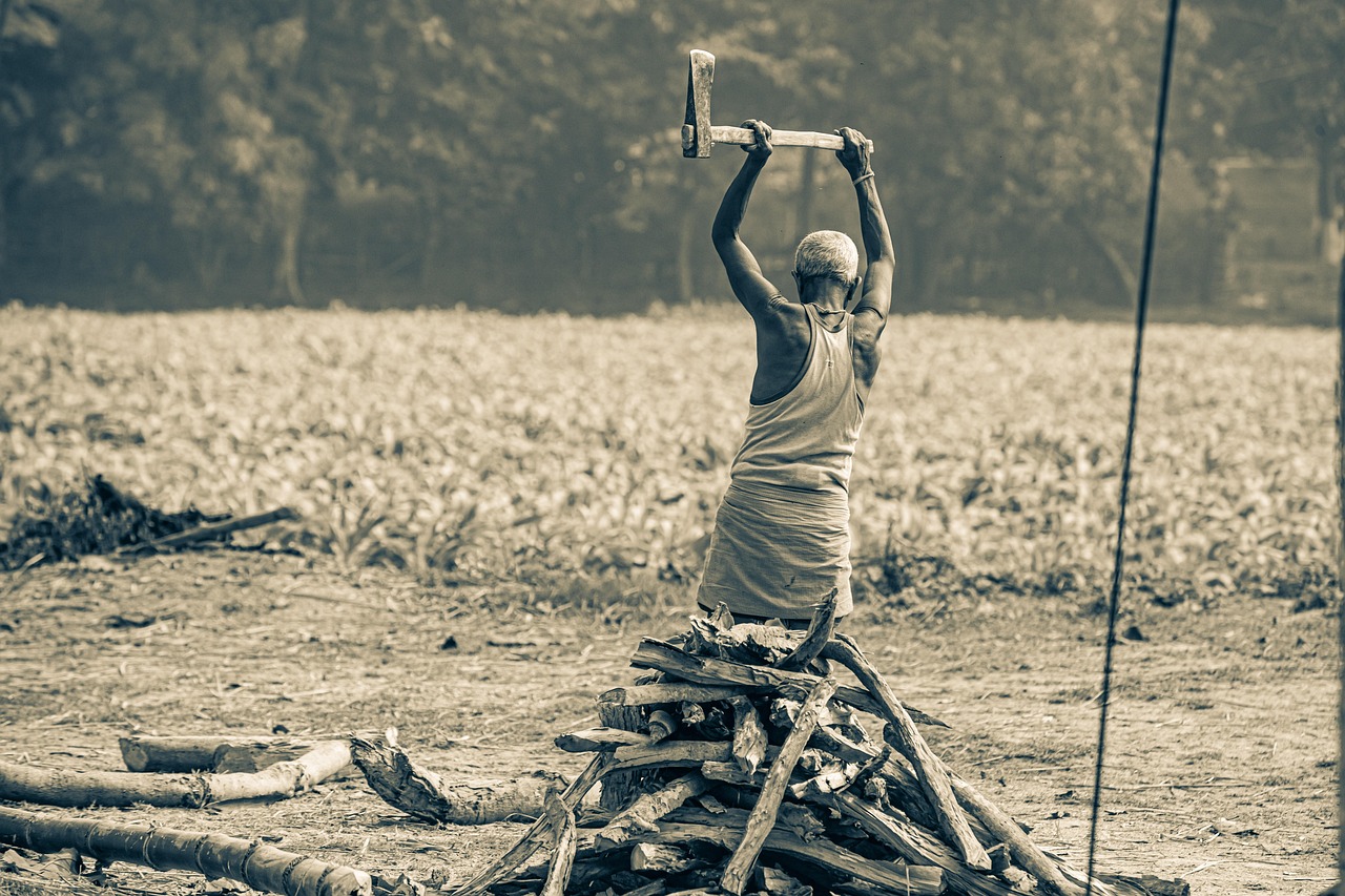farmer, village, countryside, bihar, villager, india, coastal village, village life, black and white