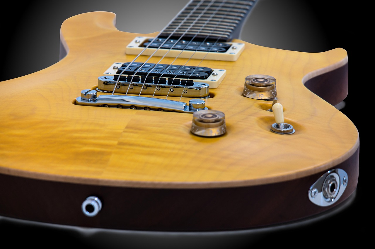 guitar, poti, controller, switch, strings, pick up, pickups, bridge, body, potentiometer, electric guitar, music, rotary control, toggle switch, switsch, web, instrument, musical instrument, stringed instrument