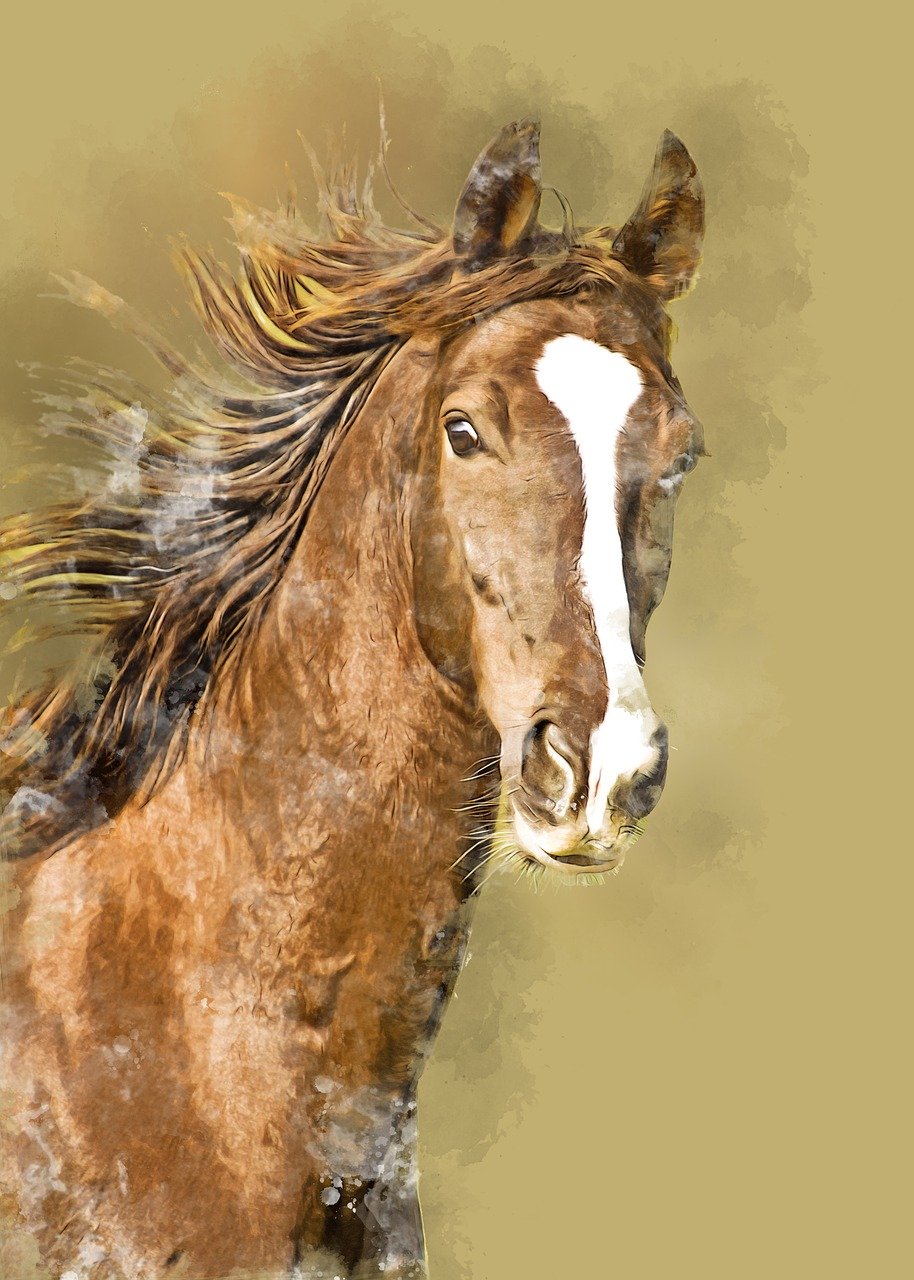 horse, animal, pure bred, nature, pasture, equestrian, mane, mammal, countryside, portrait, digital manipulation, photo art, brown horse, brown digital