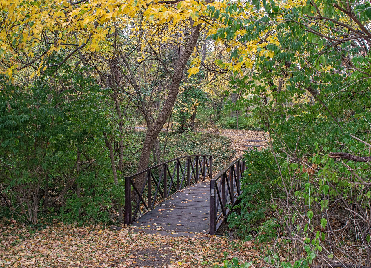 fall, forest, footbridge, park, autumn, fall colors, kansas city, missouri, midwest, lee's summit