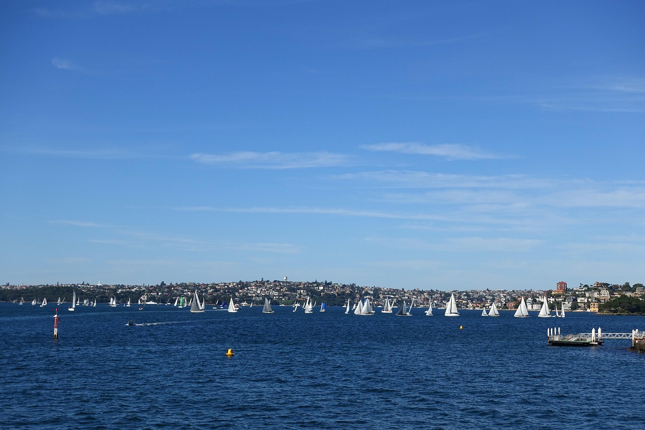 opera house, australia, sydney, city, travel, break, architecture, concert hall, the waterfront, times