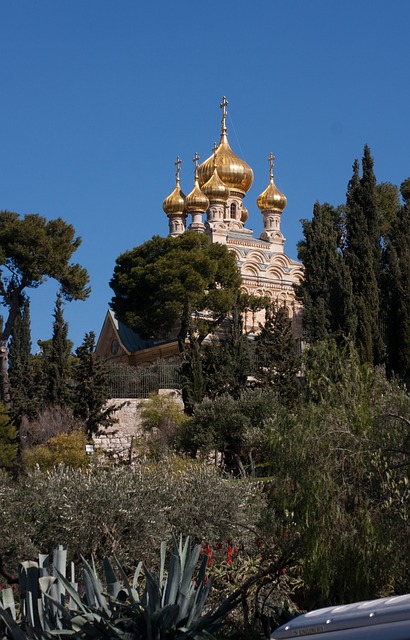 Gallery image 5
