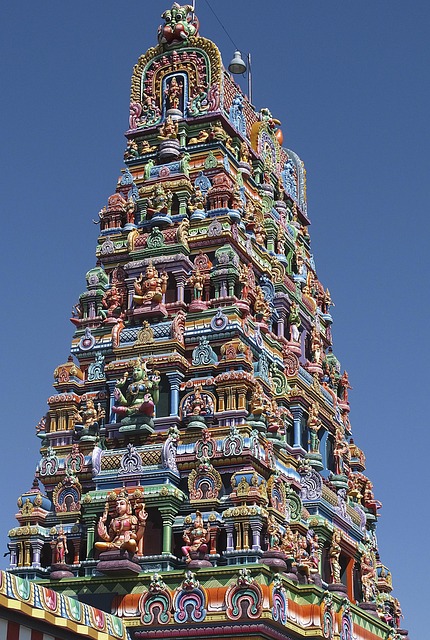 Gallery image 4
