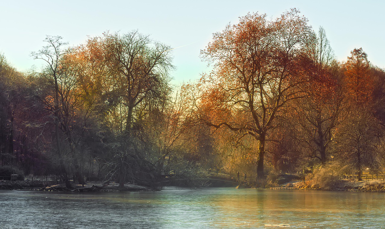 morning light, nature, mood, fog, landscape, morning mood, trees, early in the morning, mystical, haze, water, lake, in the morning