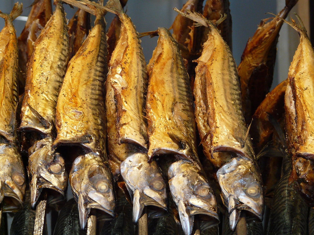 smoked fish, smoked mackerel, mackerel, on-a-stick fish, fish, trout, food, oven, smoker, smokehouse, hot smoking, cold smoking, except, slashed, durability, smoked, hung up, meal, nourishment, dish, drying, to smoke, durable, fish folk festival, fair, smoked trout, fishes, fish farming, fishing, fish preparation, smoke trap