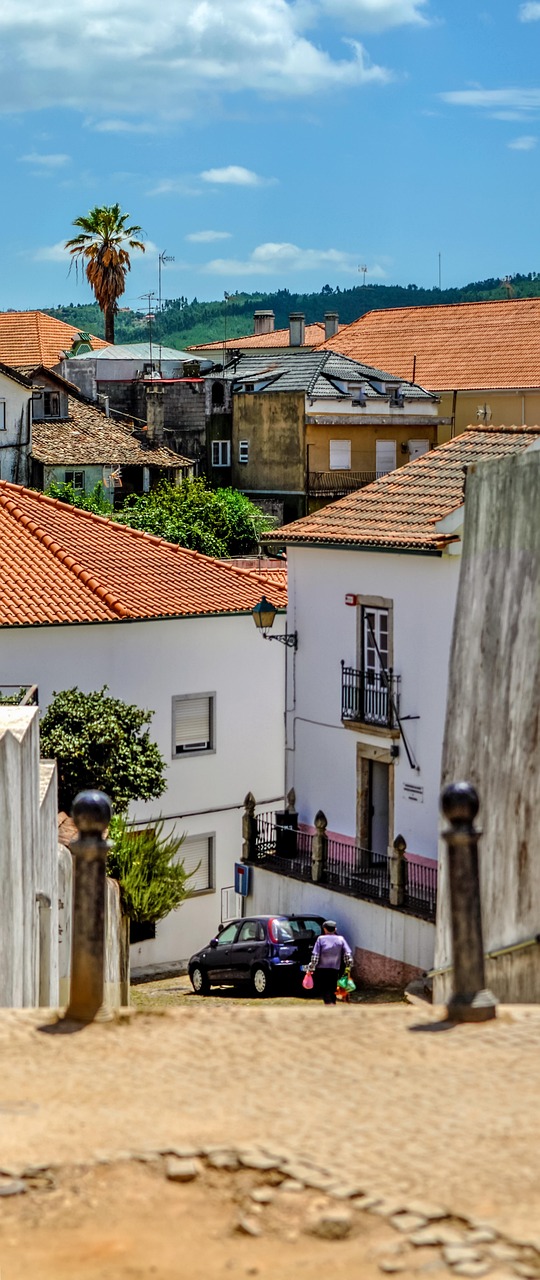 portugal, rural, houses, homes, man, street, tree, sky, abroad, clouds, tiles, roofs, posts, gardens, layers, landscape, townscape