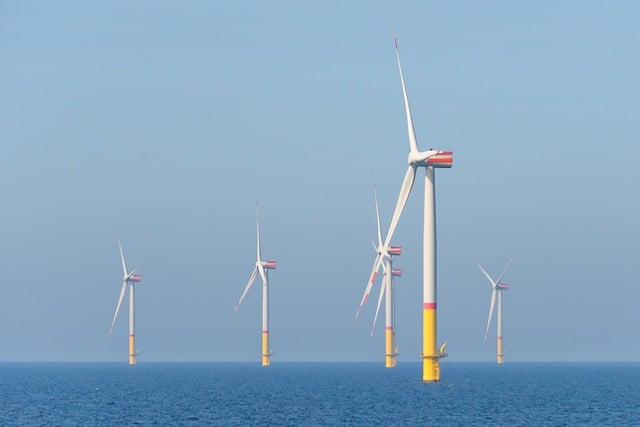 Image for Investing in Renewable Energy: Opportunities and Risks