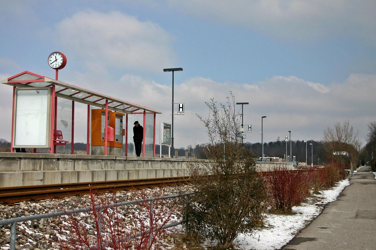 station, stop, rail, rise, transport, traffic, passenger, wait, platform, track, railway tracks, schönbuchbahn, baden-wuerttemberg, germany, southern germany, public personennahverkehr, public means of transport