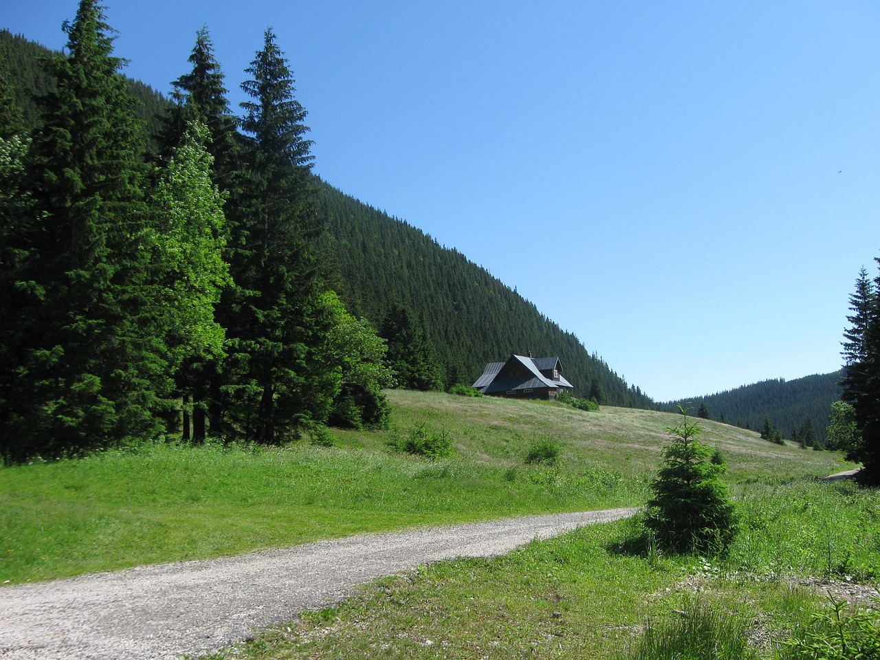 krkonoše mountains, giant mine, way, solitude, trees, nature, sky, walk, trip
