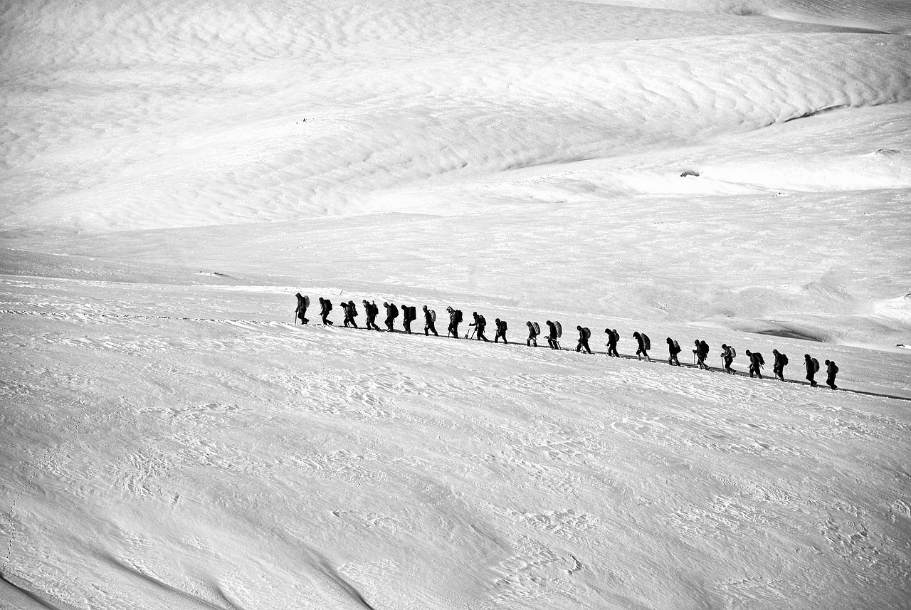 trekking, hiking, group, alpine, line, people, adventure, loneliness, mountaineering, alpinism, mountains, ice, glacier, mountaineers, winter, snow, walking, outdoors, snow mountains, black and white, monochrome
