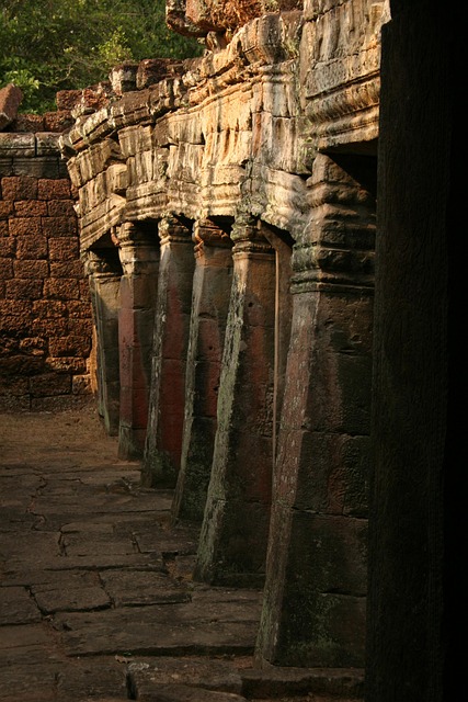 Gallery image 4