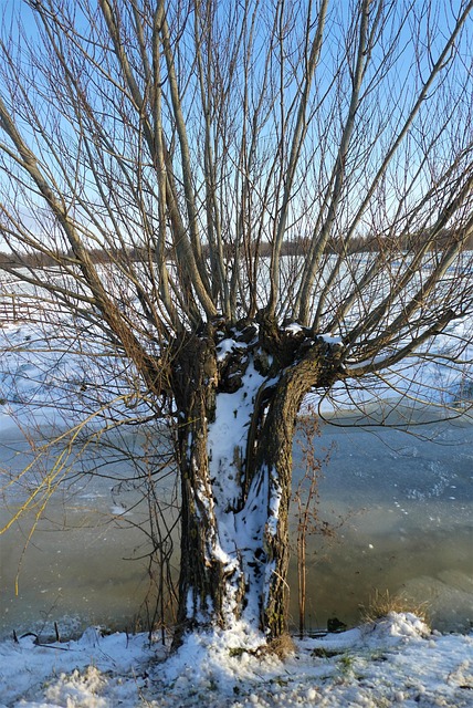 Gallery image 6