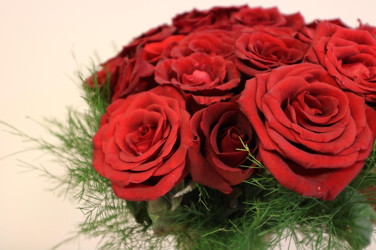 rose, flower, garden, anniversary, romantic, love, herb, bouquet, bad