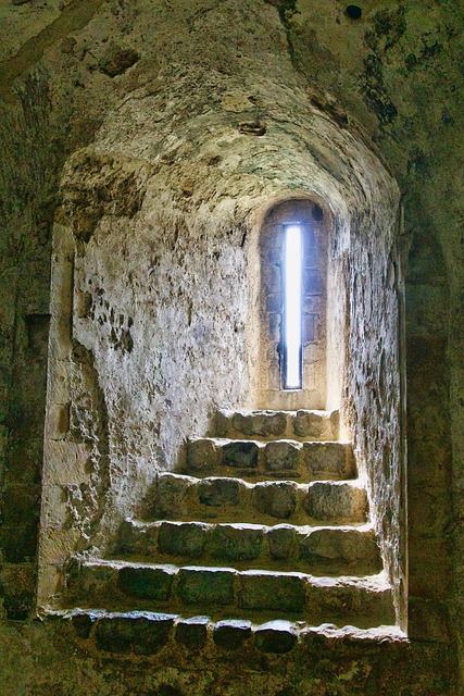 Gallery image 4