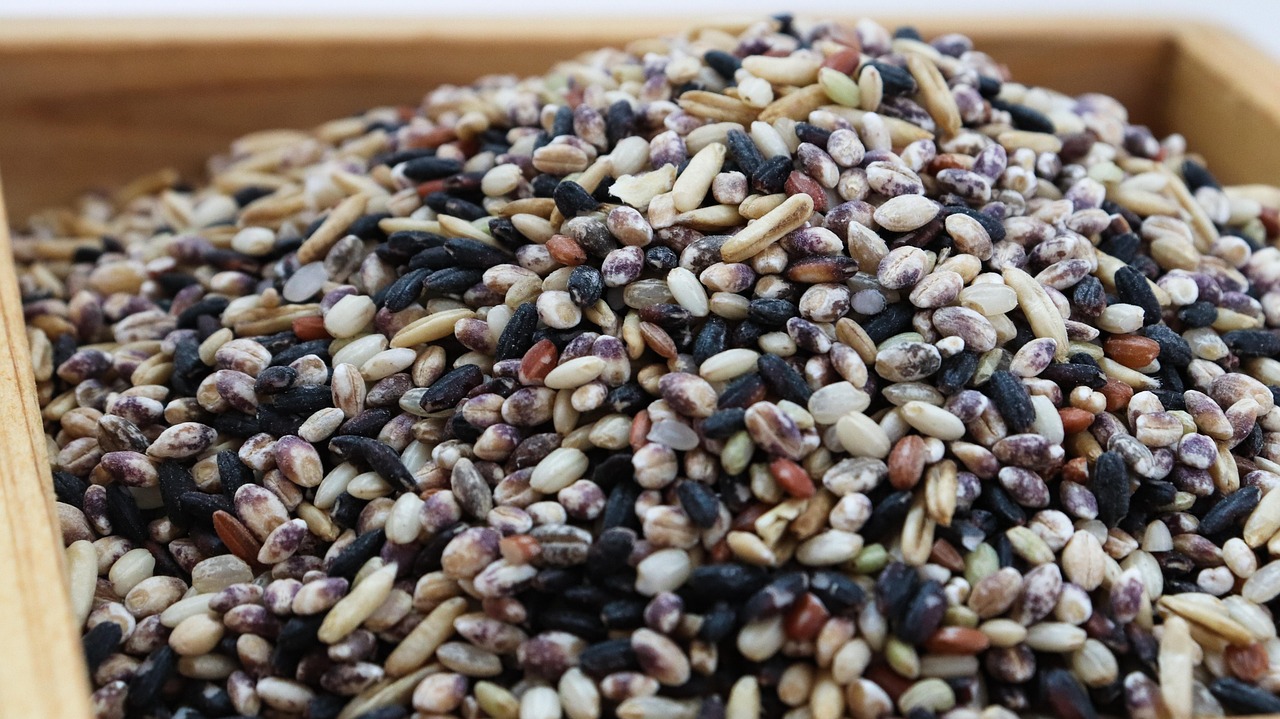 rice, grain, bob, color, food, miscellaneous cereals, minor grains, grains, cereal, colored rice, korea, korea food, korea farm, tap more, asia, nature