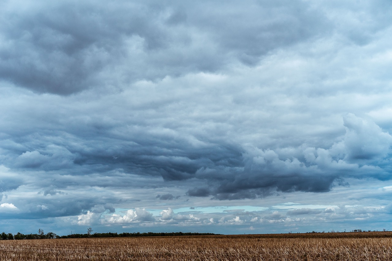 field, stormy day, gloomy day, overcast, landscape, sundown