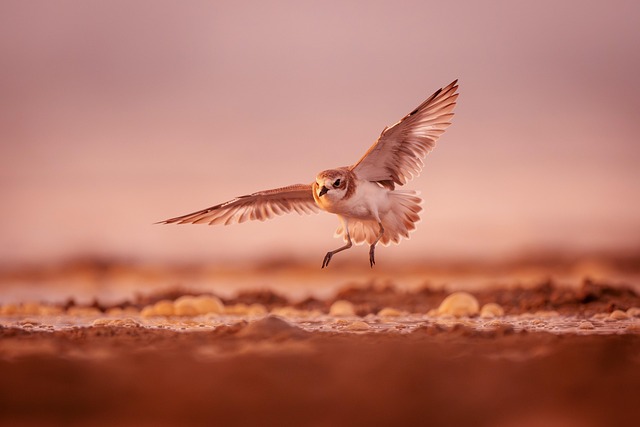 Image for Empathy in Motion