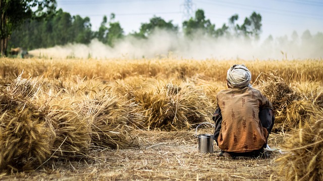 Image for Organic Farming