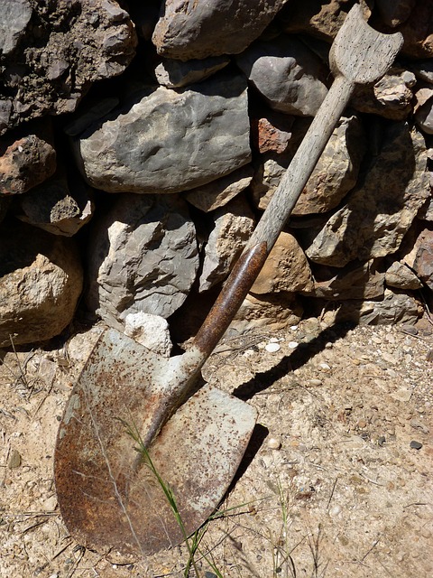 Gallery image 1