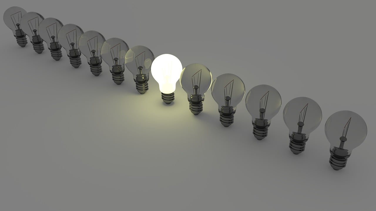 light bulbs, light, idea, energy, lamp, individual, boss, team, different, stand out