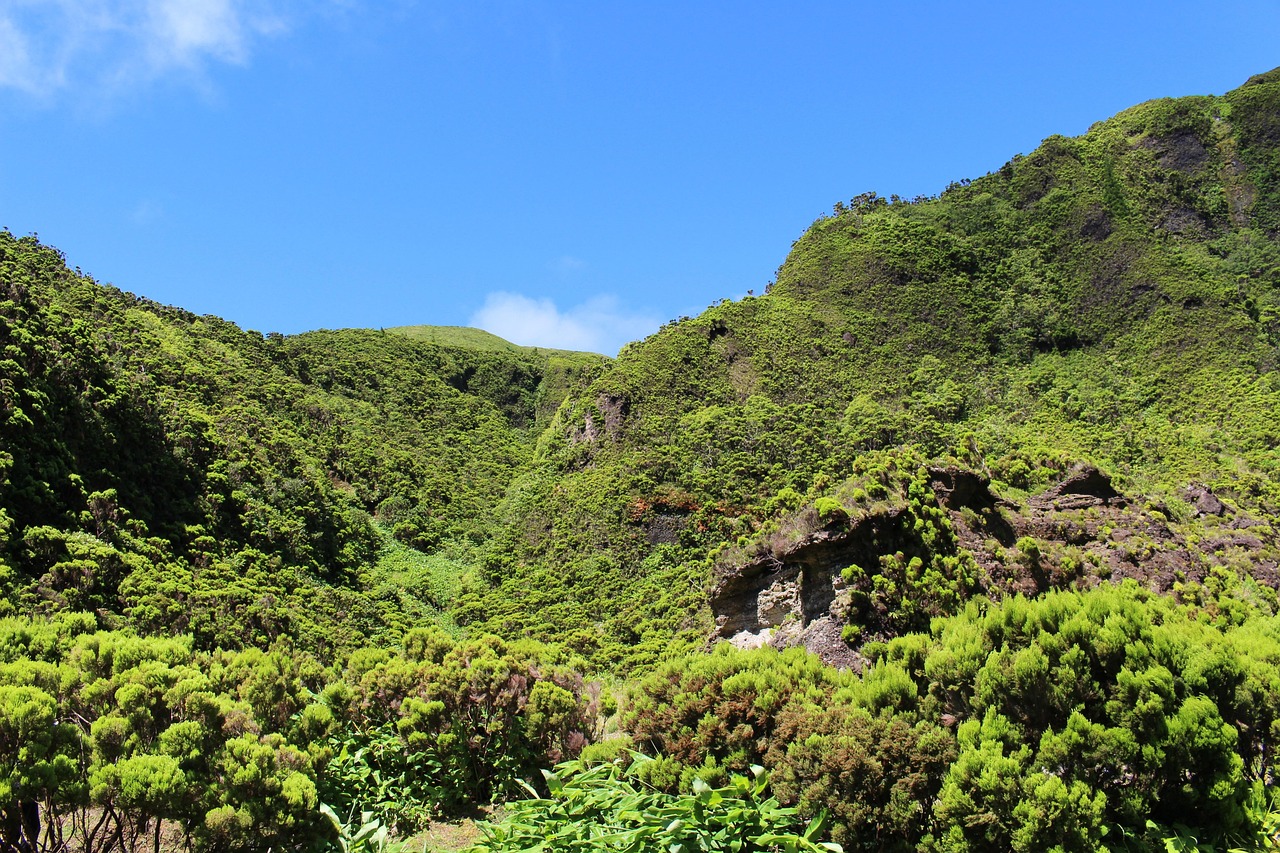 azores, green, overgrown, nature, hilly