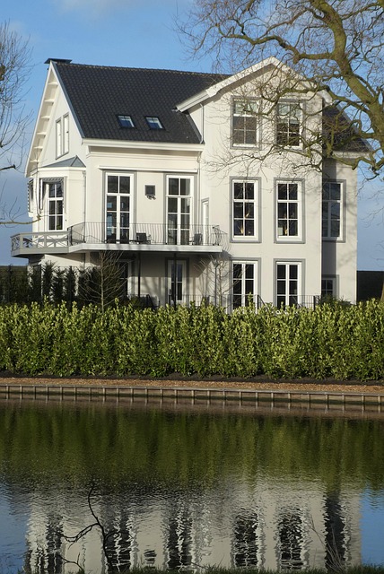 Gallery image 6