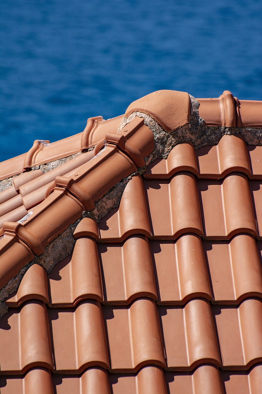roof, roofing, house, property, attic, wall