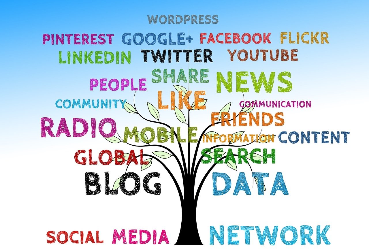 tree, social, media, structure, networking, presentation, logo, social media, internet, facebook, google, multimedia, icon, social networking, network, branches, together, arrangement, blog, radio, pinterest, twitter, data, information, news
