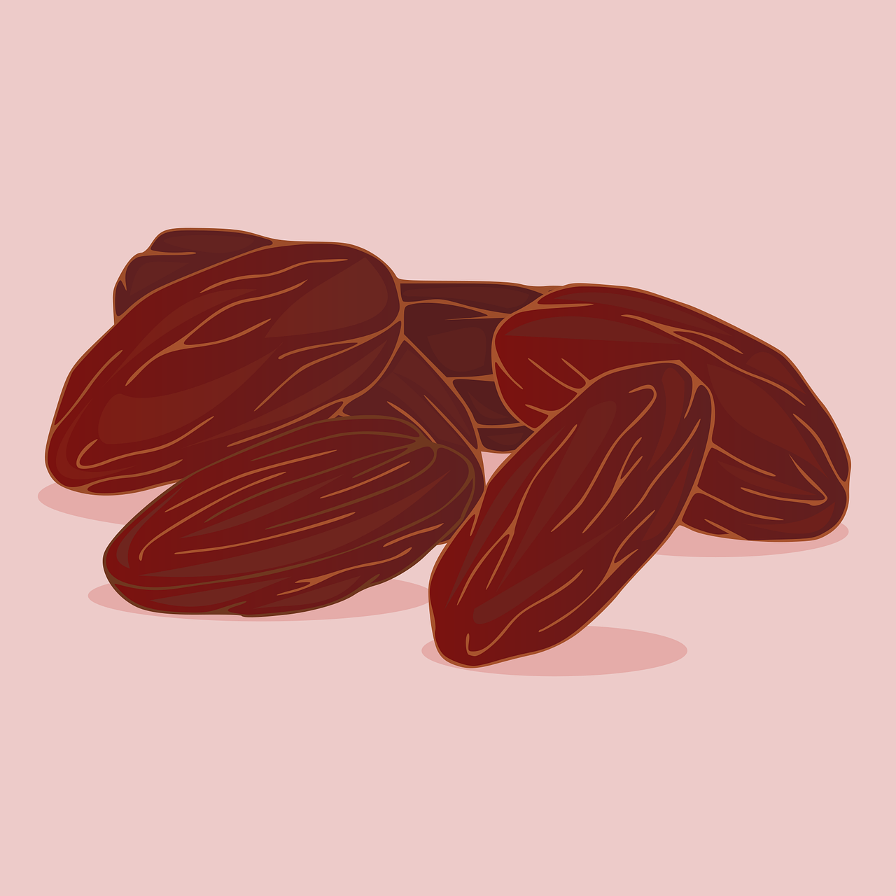 dates, fruits, food, dried fruits, dried dates, sweet, clipart