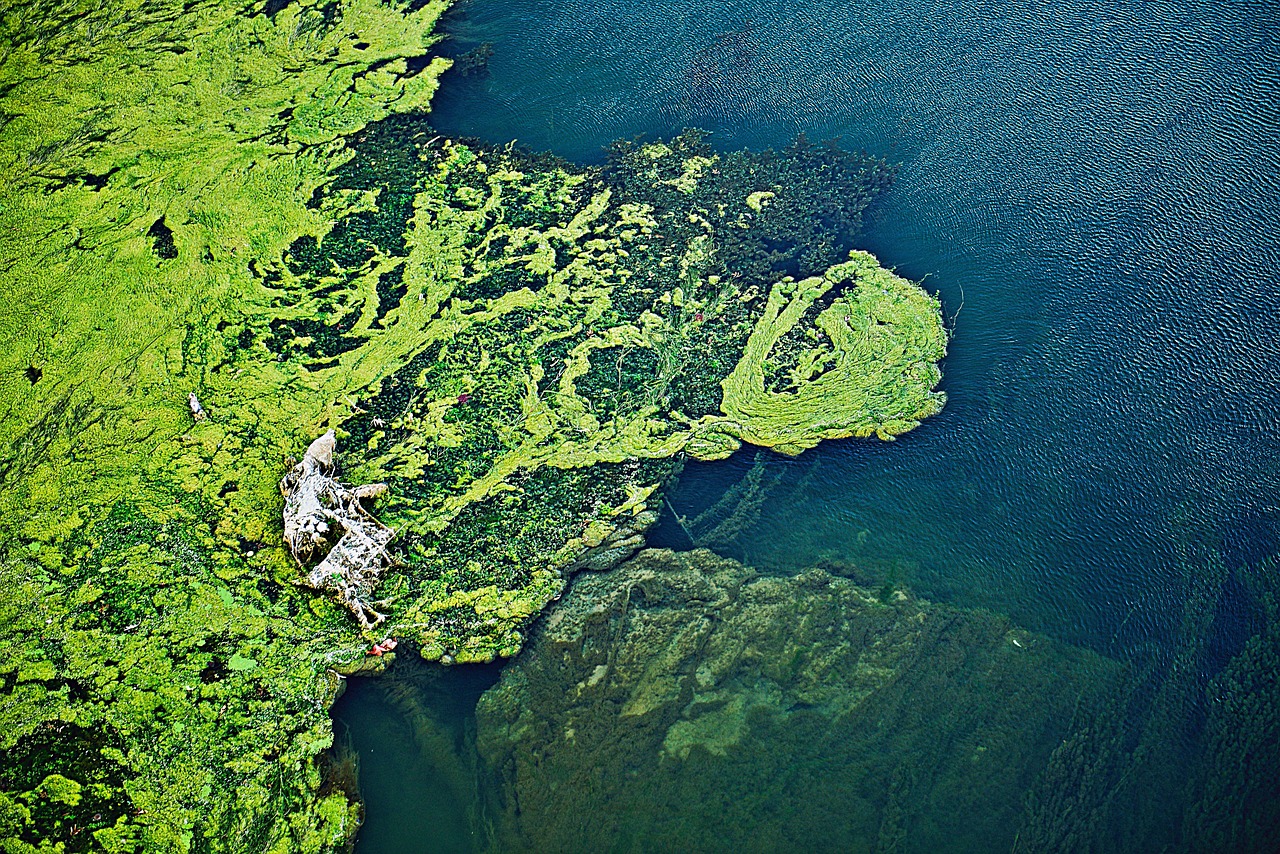 body of water, nature, travel, sea, ocean, contamination