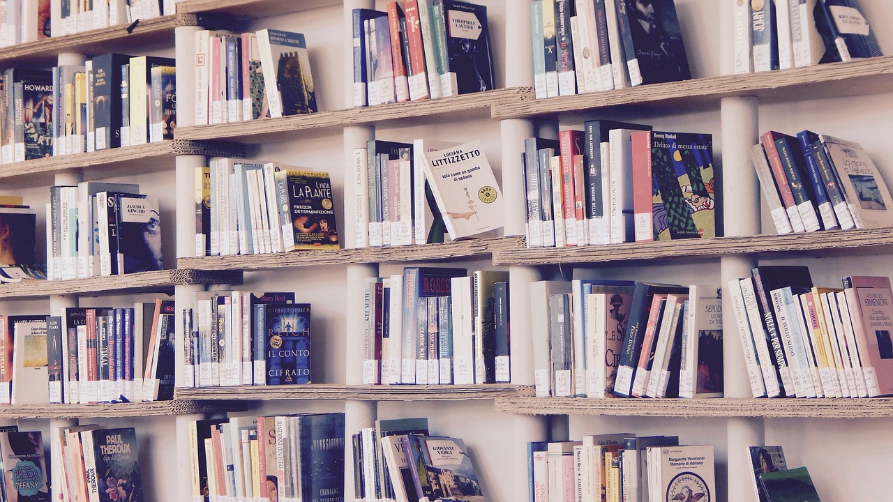 books, library, read, shelves, shelf, reading, culture, book, edition