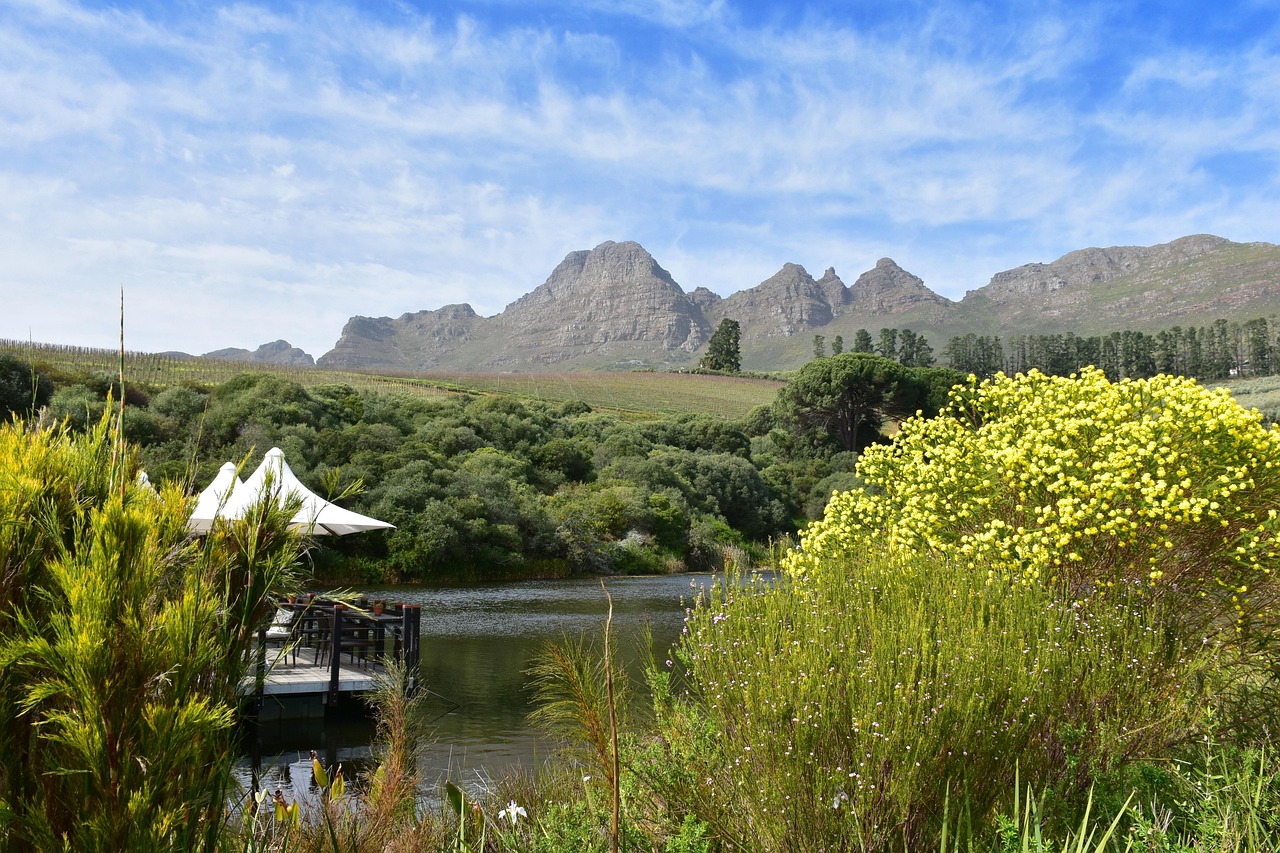 landscape, dam, nature, scenery, scenic, countryside, reservoir, mountains, mountain range, foliage, trees, plants, winelands, cape town, south africa, panorama