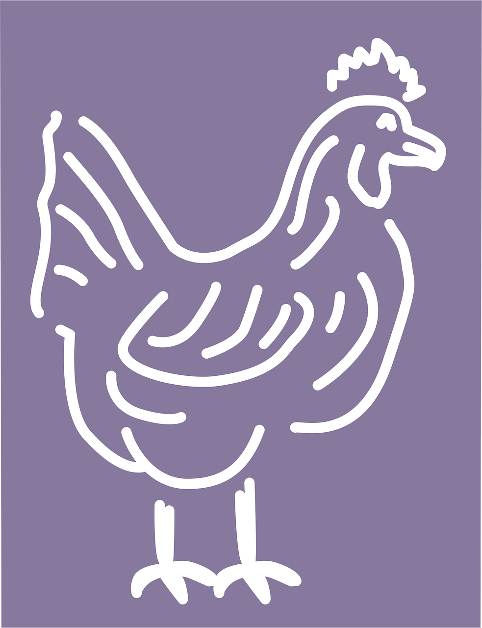 rooster, male, chicken, purple, poultry, livestock, farm, animal, bird, feathers, hen, lilac animals, lilac birds, lilac farm, lilac chicken